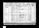 Mary Jane Haw 1901 Census